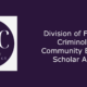 A banner with the DFC logo that reads "Division of Feminist Criminology Community Engaged Scholar Award"